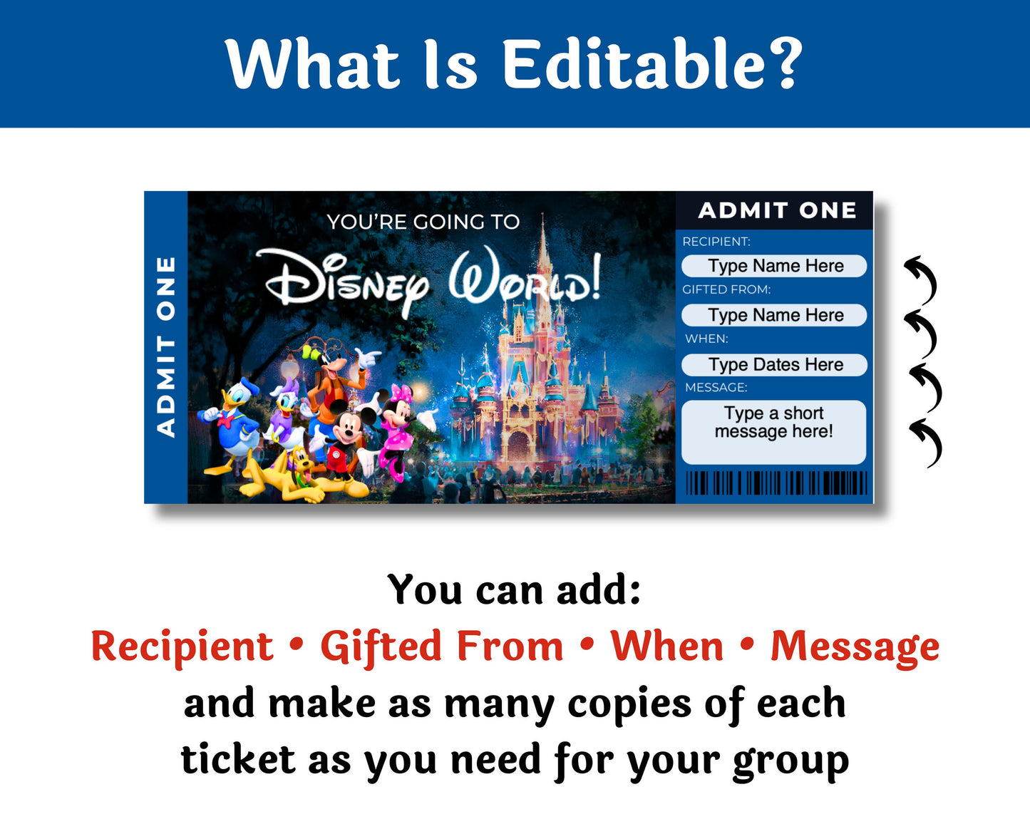 Editable Disney World Mickey and Friends Theme Park Surprise Ticket