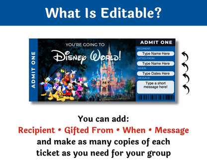 Editable Disney World Mickey and Friends Theme Park Surprise Ticket