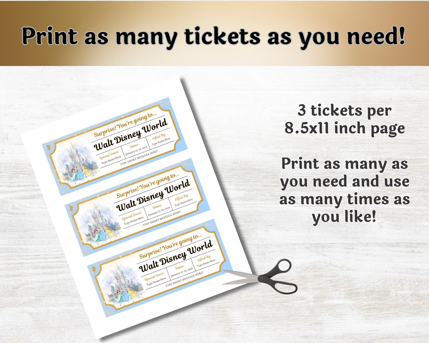 Editable Disney Princess Trip Reveal Theme Park Tickets