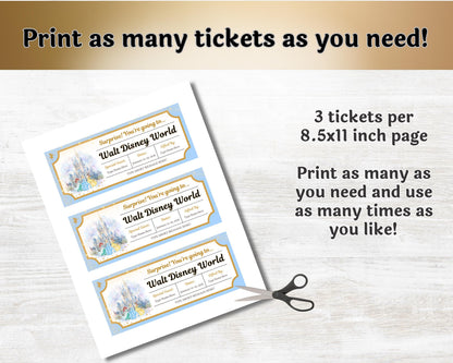 Editable Disney Princess Trip Reveal Theme Park Tickets