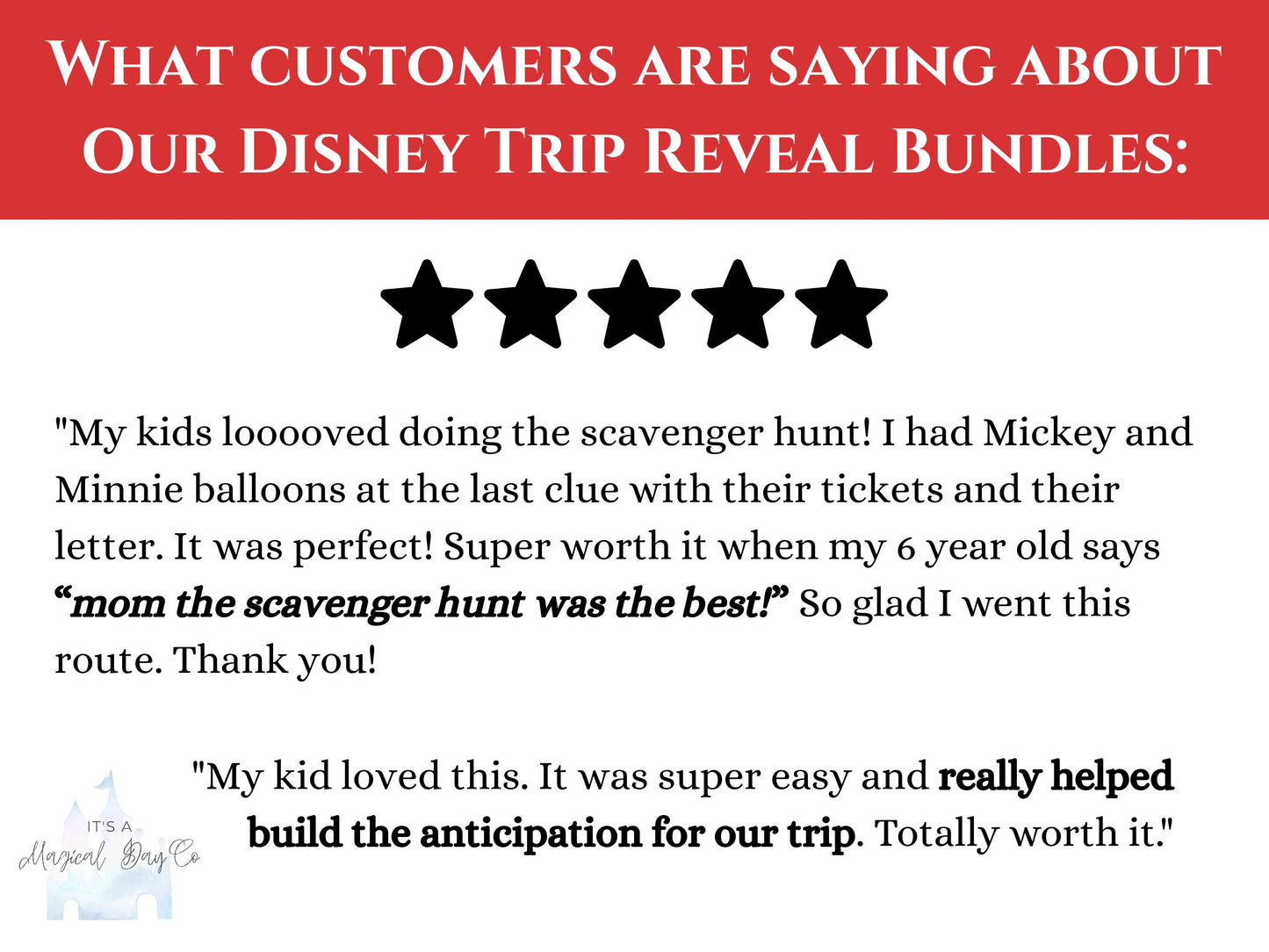 Disneyland Theme Park Trip Reveal Kit