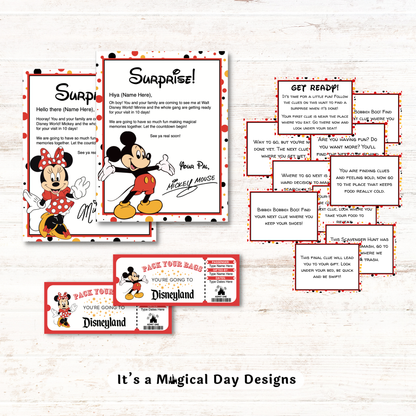 Disneyland Theme Park Trip Reveal Kit
