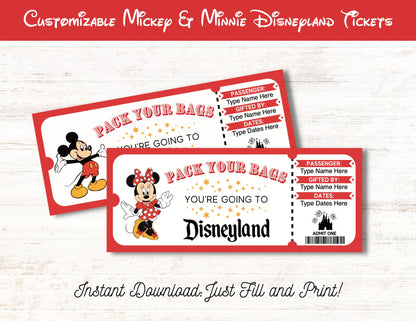 Disneyland Theme Park Trip Reveal Kit