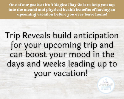 Editable Disney Princess Trip Reveal Theme Park Tickets