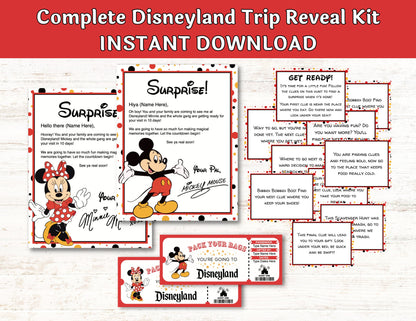 Disneyland Theme Park Trip Reveal Kit