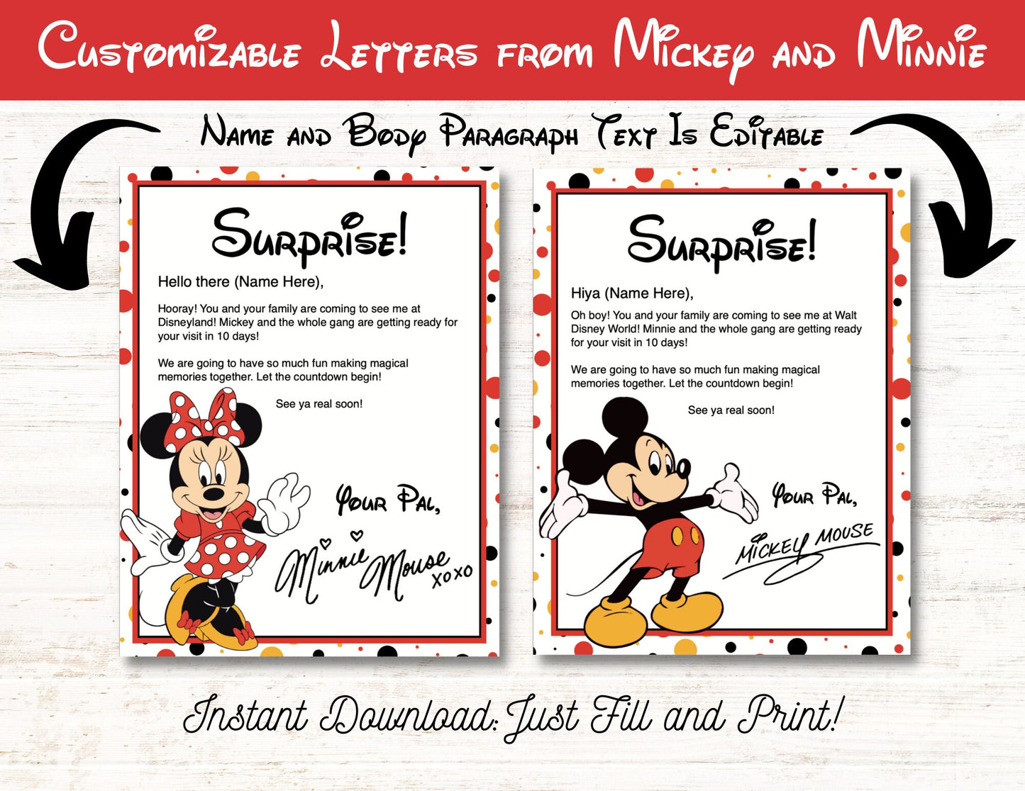 Disneyland Theme Park Trip Reveal Kit